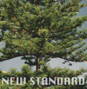peppertones - new standard